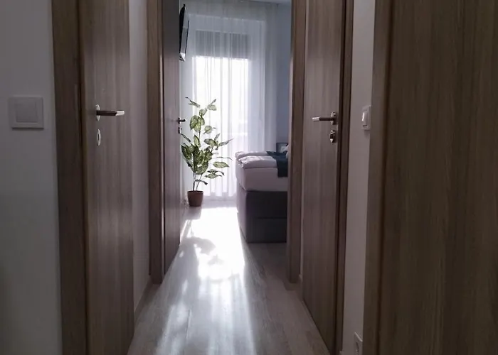 Beach Home Apartman * 巴拉顿菲赖德